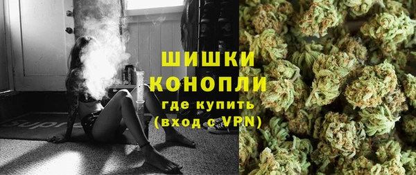 ПСИЛОЦИБИНОВЫЕ ГРИБЫ Лабытнанги