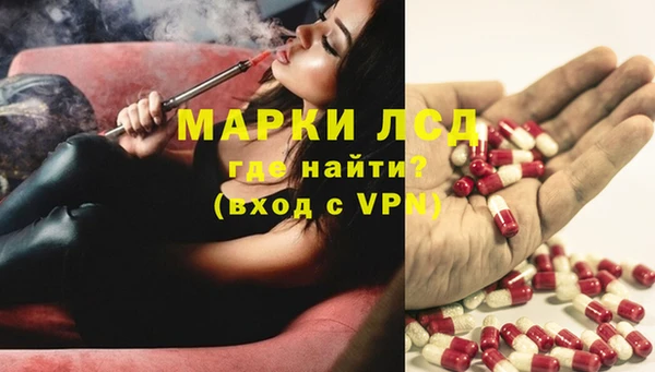 ПСИЛОЦИБИНОВЫЕ ГРИБЫ Лабытнанги