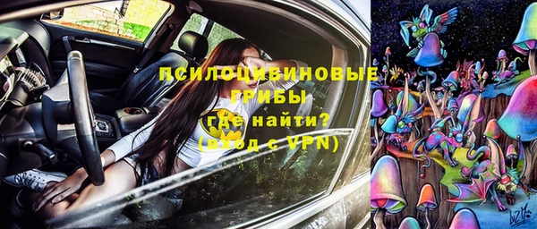 ПСИЛОЦИБИНОВЫЕ ГРИБЫ Лабытнанги
