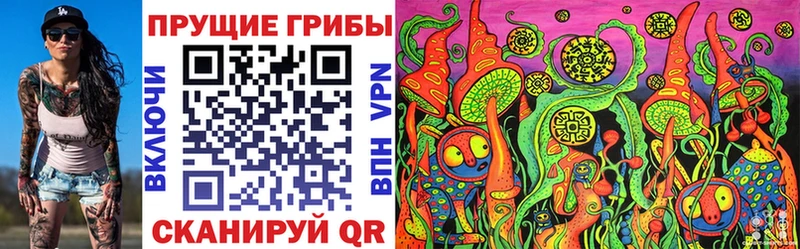 хочу   Данилов  Галлюциногенные грибы GOLDEN TEACHER 